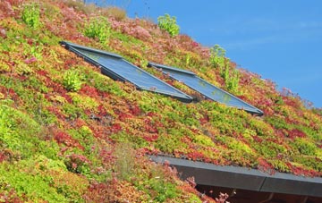 Porth Y Waen living roof systems