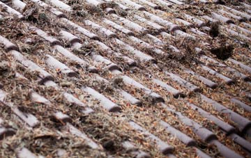 Porth Y Waen roof cleaning companies