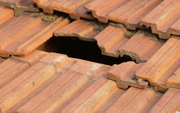 roof repair Porth Y Waen, Shropshire